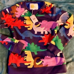 Boden Multicolor Dinosaur Kids Sweatshirt Mini Boden 9/10